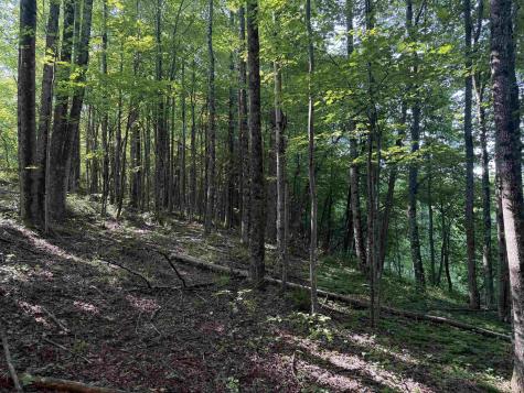 0 Barbour County Highway Belington WV 26250