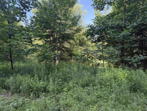 0 Barbour County Highway Belington WV 26250