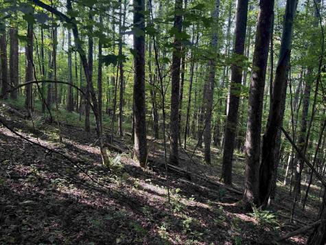 0 Barbour County Highway Belington WV 26250