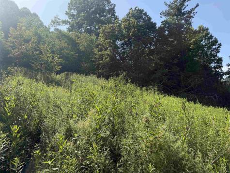 0 Barbour County Highway Belington WV 26250