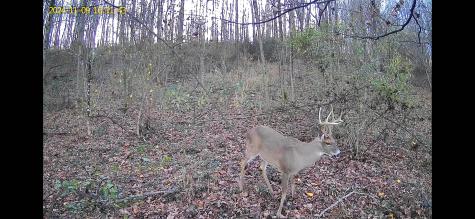 0 Barbour County Highway Belington WV 26250
