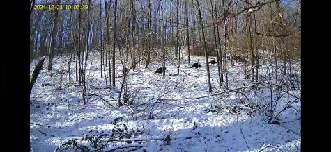 0 Barbour County Highway Belington WV 26250