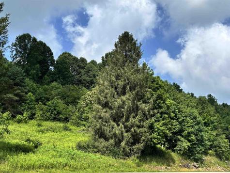 0 Barbour County Highway Belington WV 26250