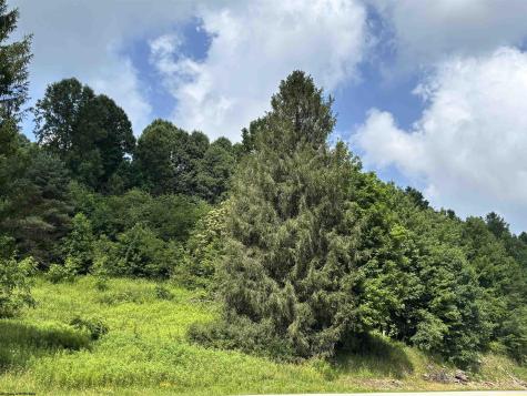 0 Barbour County Highway Belington WV 26250