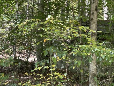 3 Possum Hollow Road Terra Alta WV 26764