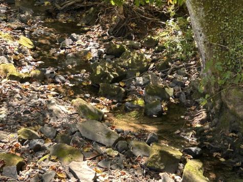 3 Possum Hollow Road Terra Alta WV 26764
