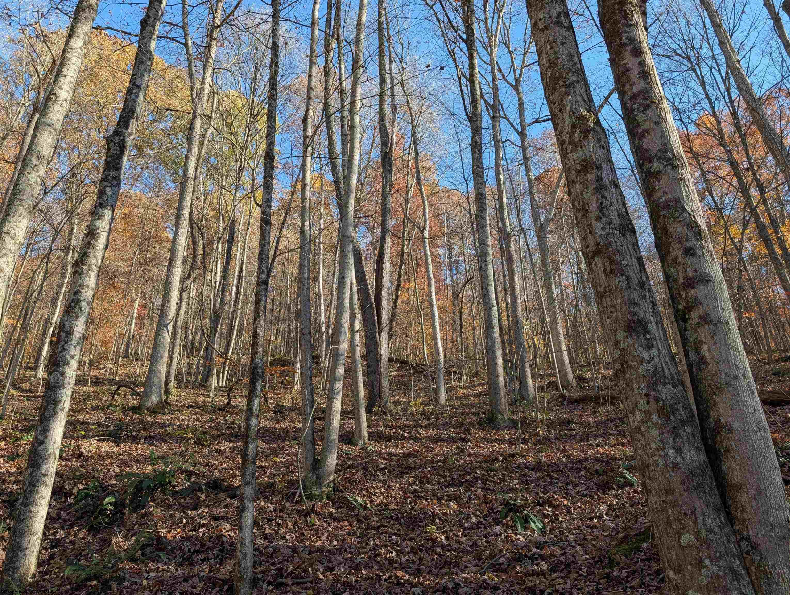 0 Brush Run Mannington WV 26582