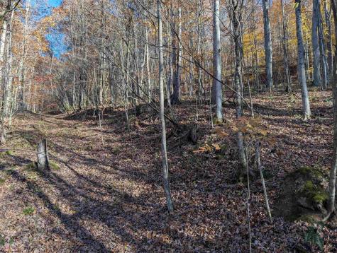0 Brush Run Mannington WV 26582