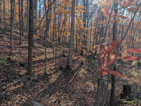0 Brush Run Mannington WV 26582