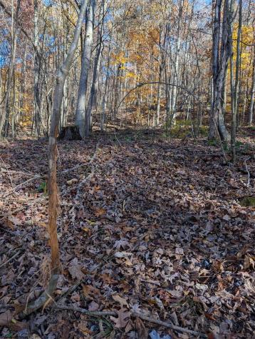 0 Brush Run Mannington WV 26582