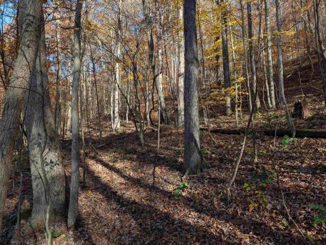 0 Brush Run Mannington WV 26582