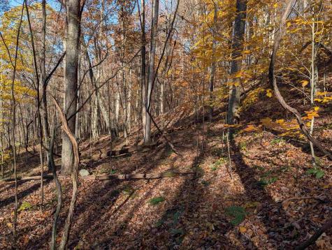 0 Brush Run Mannington WV 26582