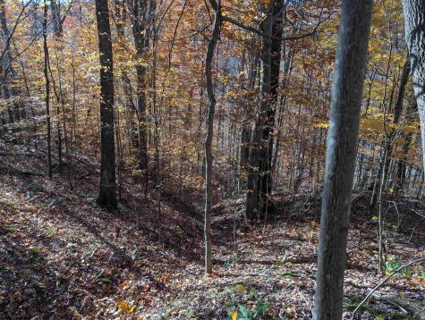 0 Brush Run Mannington WV 26582
