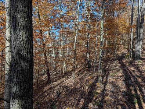 0 Brush Run Mannington WV 26582