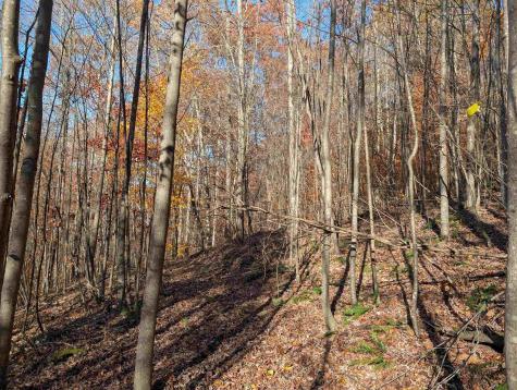 0 Brush Run Mannington WV 26582