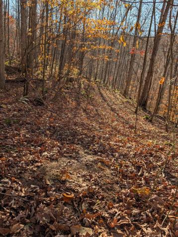 0 Brush Run Mannington WV 26582