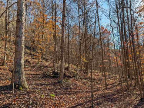 0 Brush Run Mannington WV 26582
