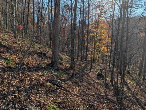 0 Brush Run Mannington WV 26582
