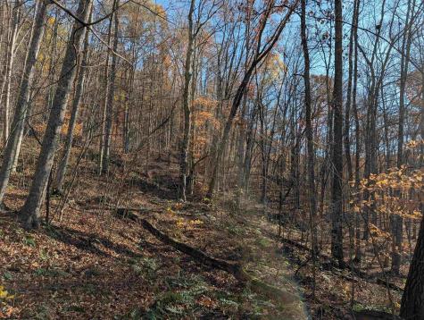 0 Brush Run Mannington WV 26582