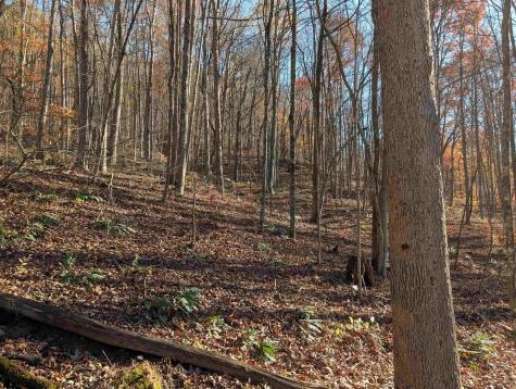 0 Brush Run Mannington WV 26582