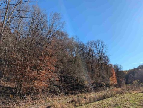 0 Brush Run Mannington WV 26582
