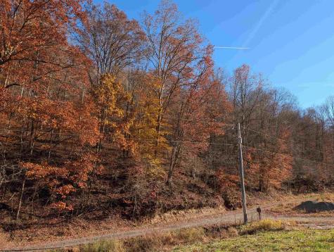 0 Brush Run Mannington WV 26582