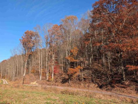 0 Brush Run Mannington WV 26582