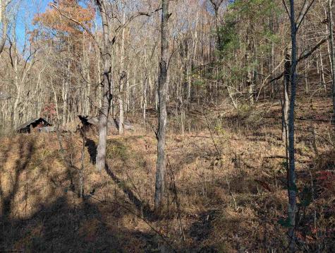 0 Brush Run Mannington WV 26582