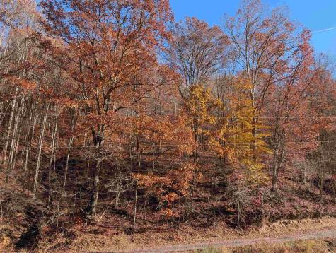 0 Brush Run Mannington WV 26582