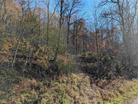 0 Brush Run Mannington WV 26582