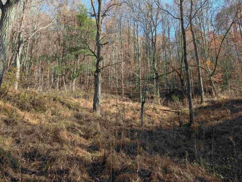 0 Brush Run Mannington WV 26582