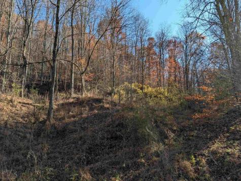 0 Brush Run Mannington WV 26582