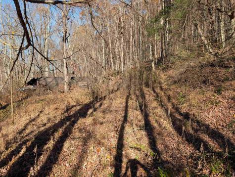 0 Brush Run Mannington WV 26582