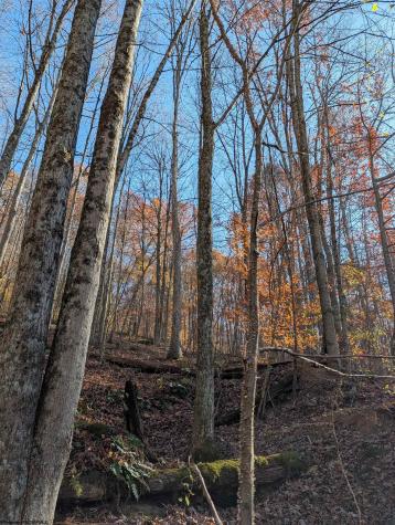 0 Brush Run Mannington WV 26582