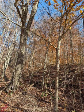 0 Brush Run Mannington WV 26582