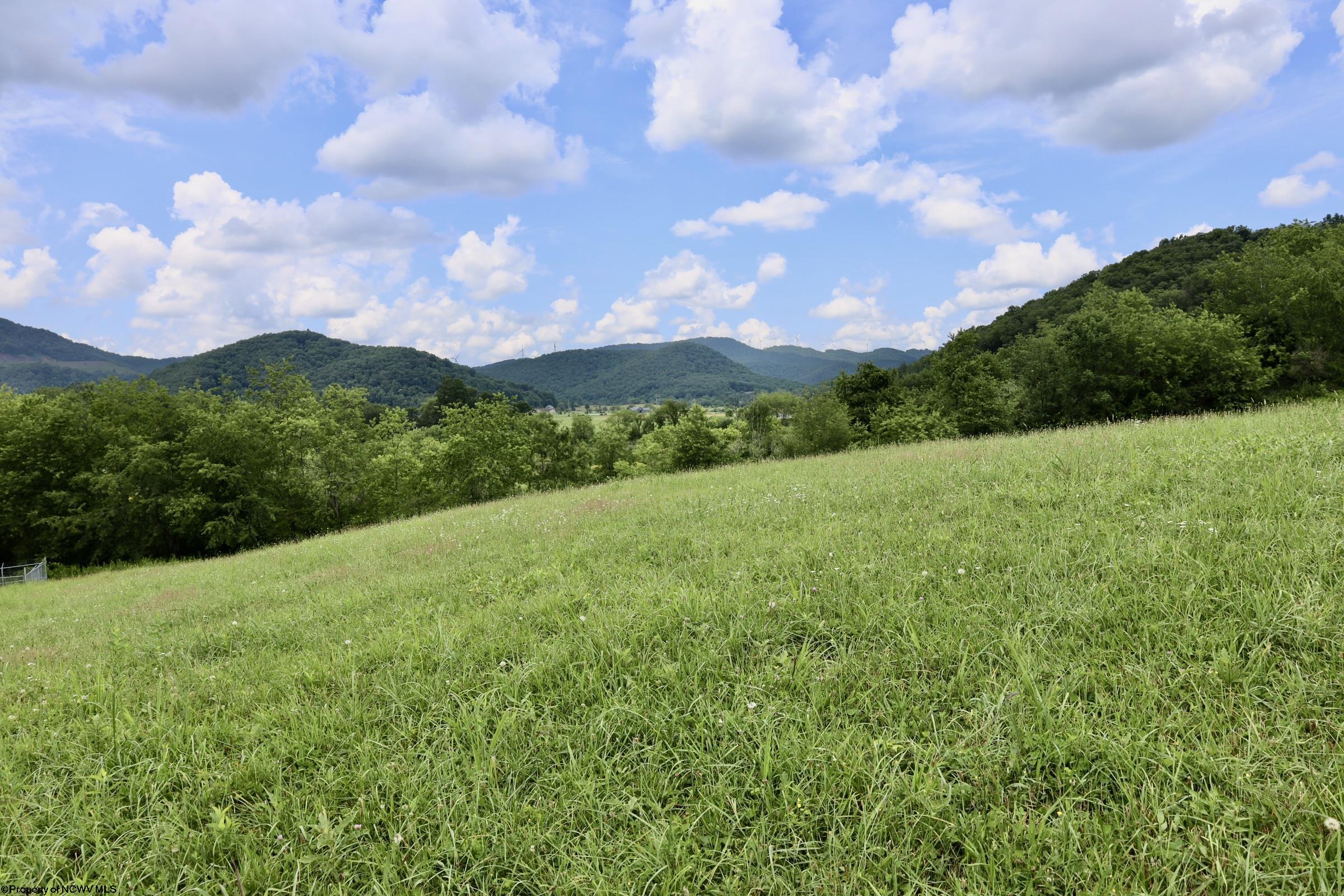22 Bosworth Drive Elkins WV 26241