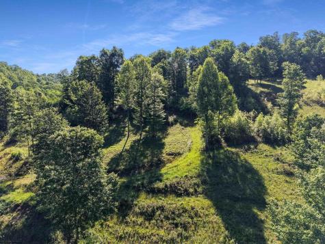 0 Seng Run Road French Creek WV 26218