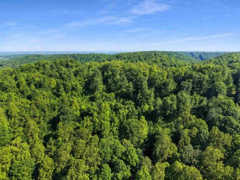 0 Seng Run Road French Creek WV 26218