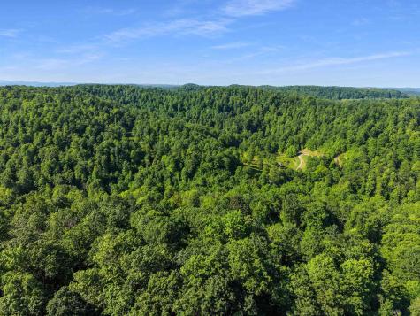 0 Seng Run Road French Creek WV 26218