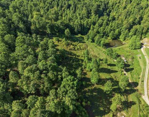 0 Seng Run Road French Creek WV 26218