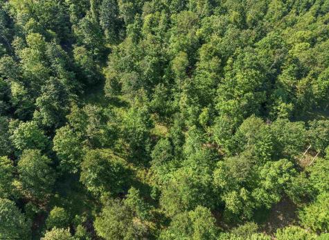 0 Seng Run Road French Creek WV 26218