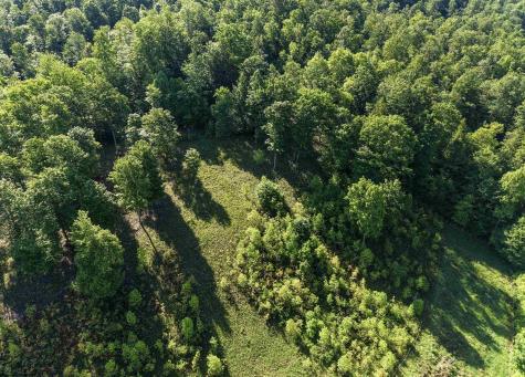 0 Seng Run Road French Creek WV 26218