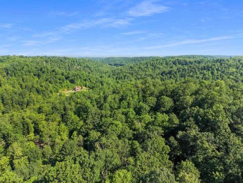 0 Seng Run Road French Creek WV 26218