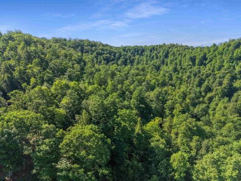 0 Seng Run Road French Creek WV 26218