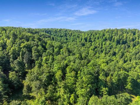 0 Seng Run Road French Creek WV 26218