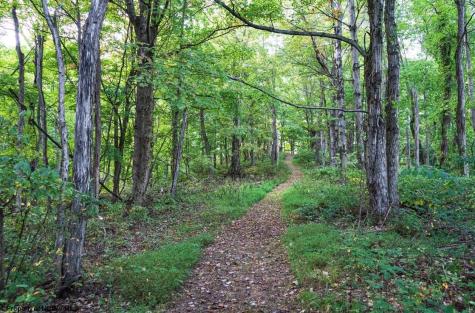3 Lynch Road Morgantown WV 26501