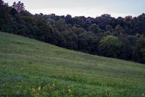 3 Lynch Road Morgantown WV 26501