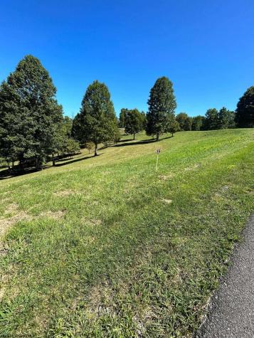 16 Countryside Drive Buckhannon WV 26201
