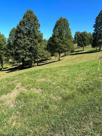 16 Countryside Drive Buckhannon WV 26201