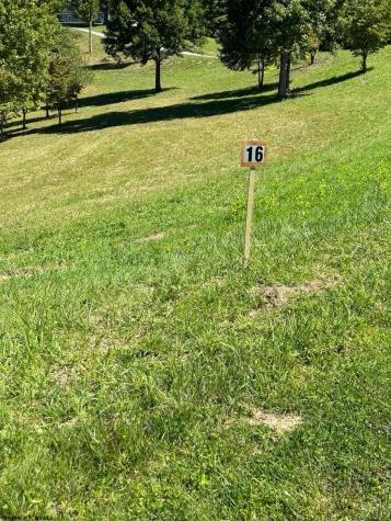 16 Countryside Drive Buckhannon WV 26201